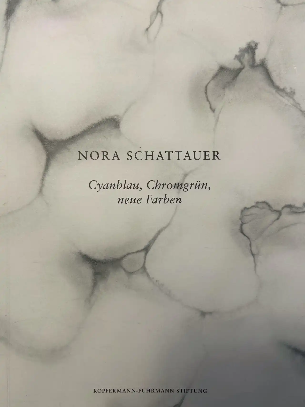 Nora Schattauer Coverbild