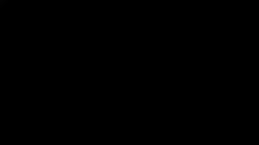 Kopfermann Schmidt fin